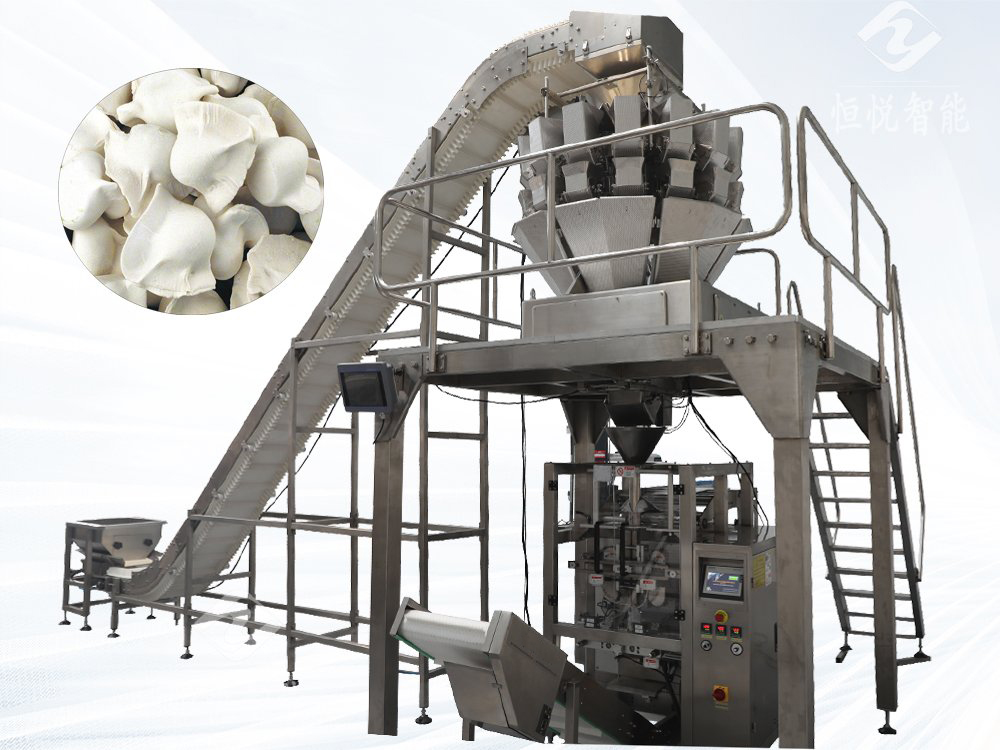 食品厂用的水饺向日葵视频色版下载械设备