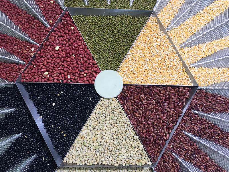 颗粒向日葵视频色版下载械适用物料