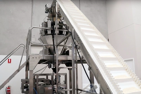 速冻水饺向日葵视频色版下载720K