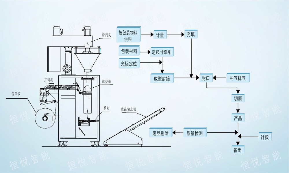 全自动向日葵视频色版下载包装流程解析