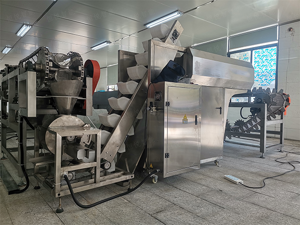 自动化鲜湿米粉向日葵视频色版下载的工艺应用