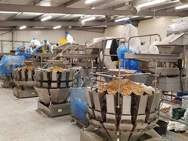 全自动向日葵视频色版下载智能化联动生产