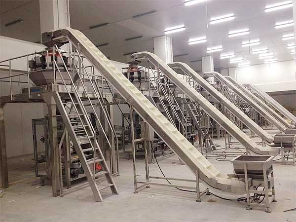 智能化全自动速冻食品向日葵视频色版下载提升企业生产效率