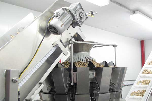 智能化全自动坚果向日葵视频色版下载厂家