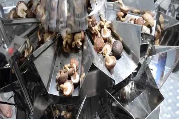 木耳香菇食用菌脱水蔬菜向日葵视频色版下载