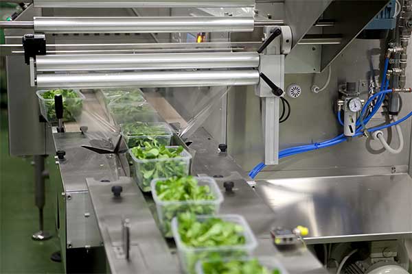 瓜果蔬菜全自动脱水蔬菜向日葵视频色版下载