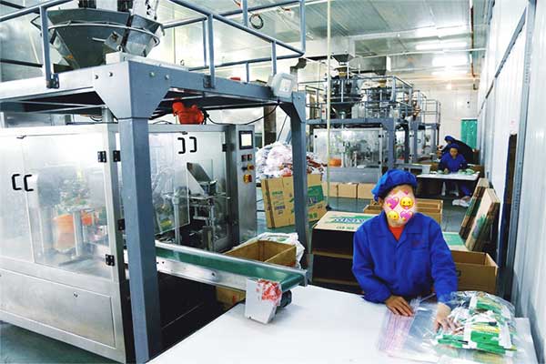 给袋式颗粒全自动向日葵视频色版下载厂家